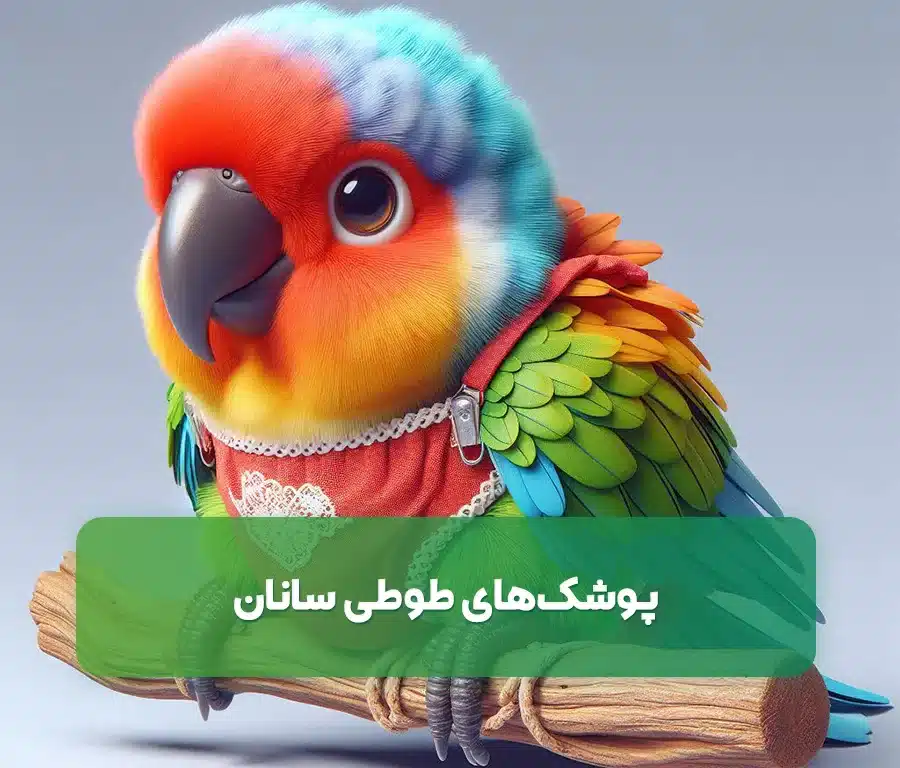 همه چیز درمورد پوشک طوطی